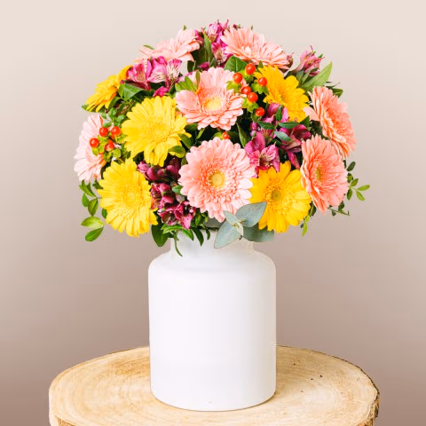 Full of Life : Gerberas et Alstroemerias