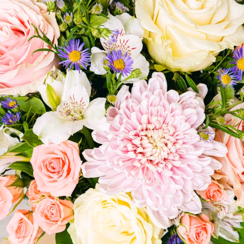 Infinite Strengh: Anastasia and Aster highlight