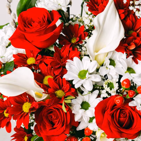 Gentle Harmony: Perfect Christmas Gift highlight