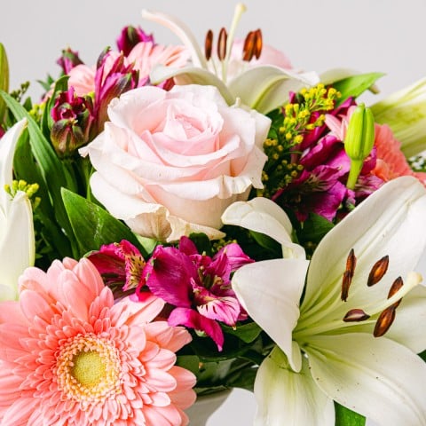 Dream World: Gerberas and Lilies highlight