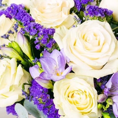 Elegant Beauty: Roses and Freesias highlight