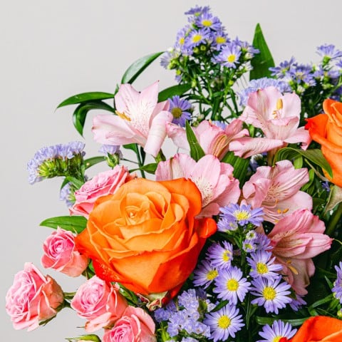 Extra Smiles: Roses and Asters highlight