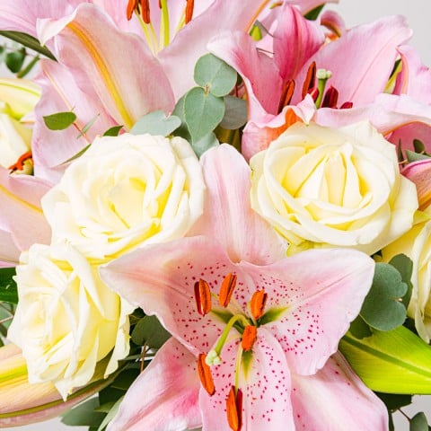 Candy: Lilies and Roses highlight