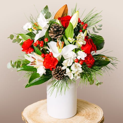 Splendeur Festive : Cadeau de Noël Parfait Splendeur Festive : Cadeau de Noël Parfait