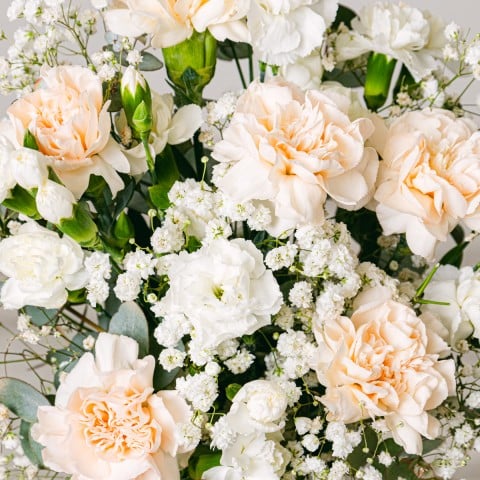 Tendresse Florale : Roses et Œillets highlight Tendresse Florale : Roses et Œillets highlight